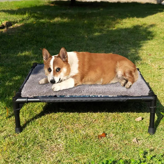 Cama elevada para perros pequeños y medianos